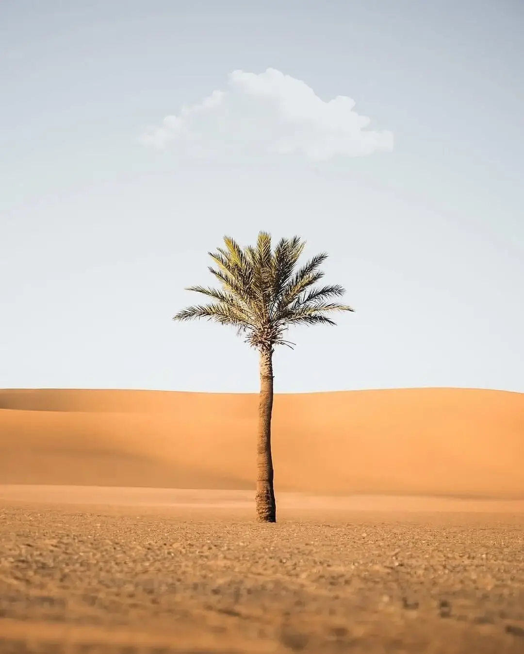 Marrakech to Fes 4 Days Desert Tour