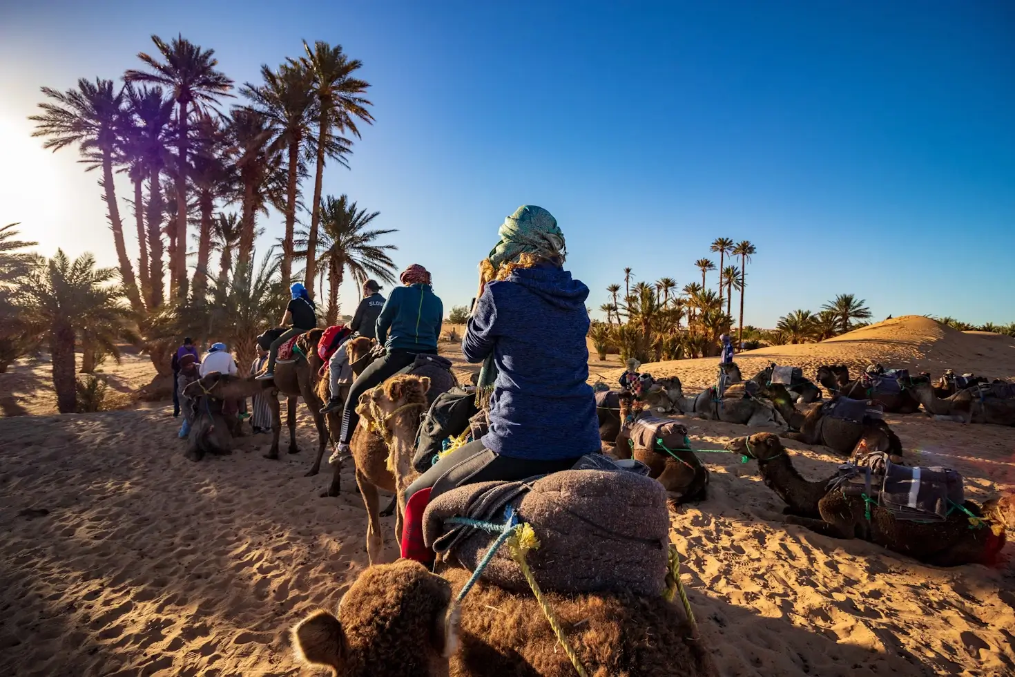 Overnight Camel trek - Morocco Desert