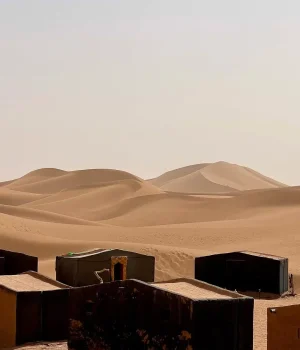 Overnight Camel trek - Morocco Desert